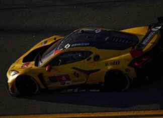 Milner Charity T-Shirt Sales Exceed 3500: A ‘Bird’ Success milner-charity-t-shirt-sales-exceed-3500-a-bird-success