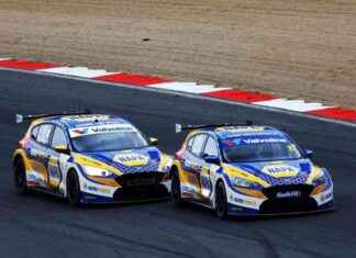 Navigating the Challenges of Working with Sutton in Your Team navigating-the-challenges-of-working-with-sutton-in-your-team