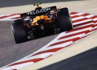 Stella’s Optimism Grows Amid Rising Competition stellas-optimism-grows-amid-rising-competition