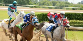 Who Is Winning The Presidential Race? Insights Into Key Candidates