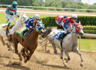 Who Is Winning The Presidential Race? Insights Into Key Candidates