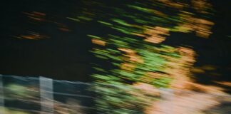 When Is The Next F1 Race? Discover Exciting Details Here!