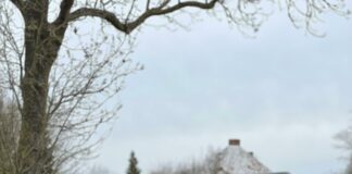 What Time Does The NASCAR Race Start Today? Discover The Excitement!