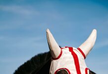 Who’s Leading the Presidential Race? Discover Surprising Insights!