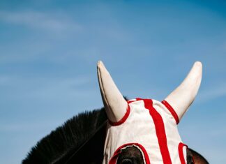 Who Is Leading The Presidential Race? Discover The Latest Insights!