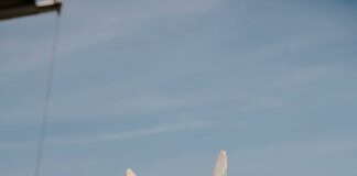 Who’s Leading in the Presidential Race? Discover the Surprising Trends!