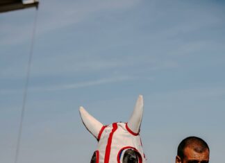 Who’s Leading in the Presidential Race? Discover the Surprising Trends!