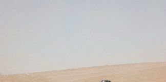 Who Is Ahead in the Presidential Race? Discover the Surprising Trends!