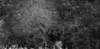 RuPaul’s Drag Race Season 16: What Surprises Await Fans This Year?