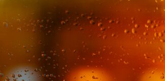 When Did Biden Drop Out of the Race? Discover the Surprising Timeline