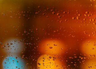 When Did Biden Drop Out of the Race? Discover the Surprising Timeline