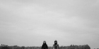 How Is The Presidential Race Going? Insights And Predictions Await