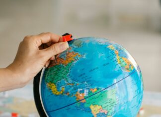 World Population By Race Pie Chart: Discover Global Diversity