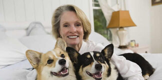 Prioritizing Dogs Health: The Ultimate Guide to Choosing the Right Dog Beds dog bed, dog beds, large dog beds, best dog beds, outdoor dog beds, orthopedic dog beds, chew proof dog bed, raised dog bed, cooling dog bed, heated dog beds