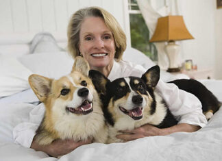 Prioritizing Dogs Health: The Ultimate Guide to Choosing the Right Dog Beds dog bed, dog beds, large dog beds, best dog beds, outdoor dog beds, orthopedic dog beds, chew proof dog bed, raised dog bed, cooling dog bed, heated dog beds