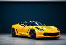 The Intersection of Automotive Passion and Personal Well-being The Intersection of Automotive Passion and Personal Well-being